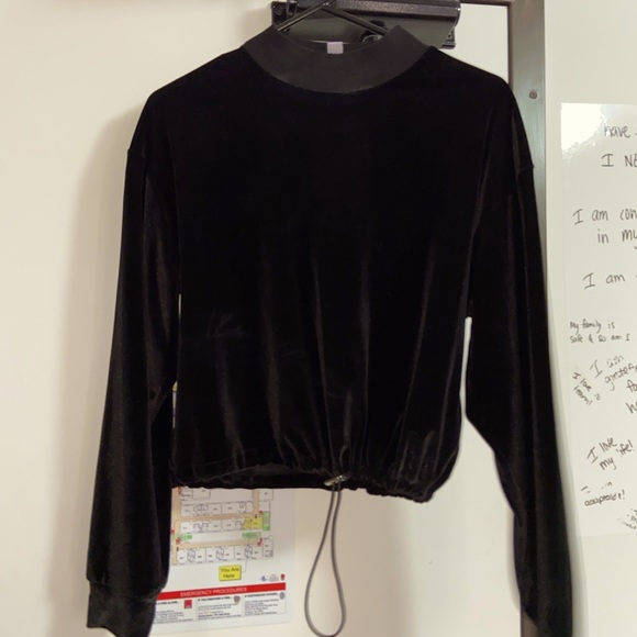 Mock Neck Crop Top (velvet) - Picture 1 of 1